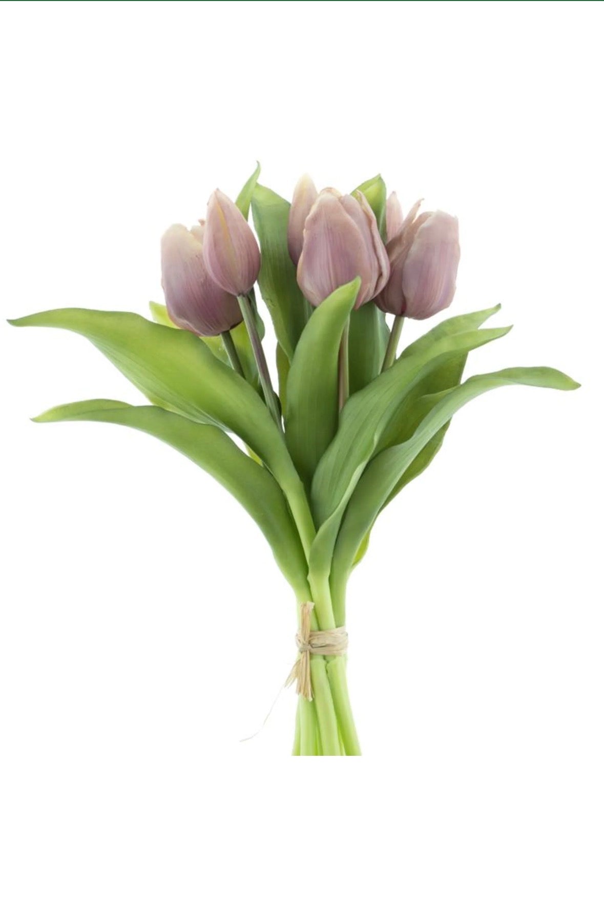 Real touch Hollandse Vermeer tulpen lavendel kleur, bos 7 stuks.