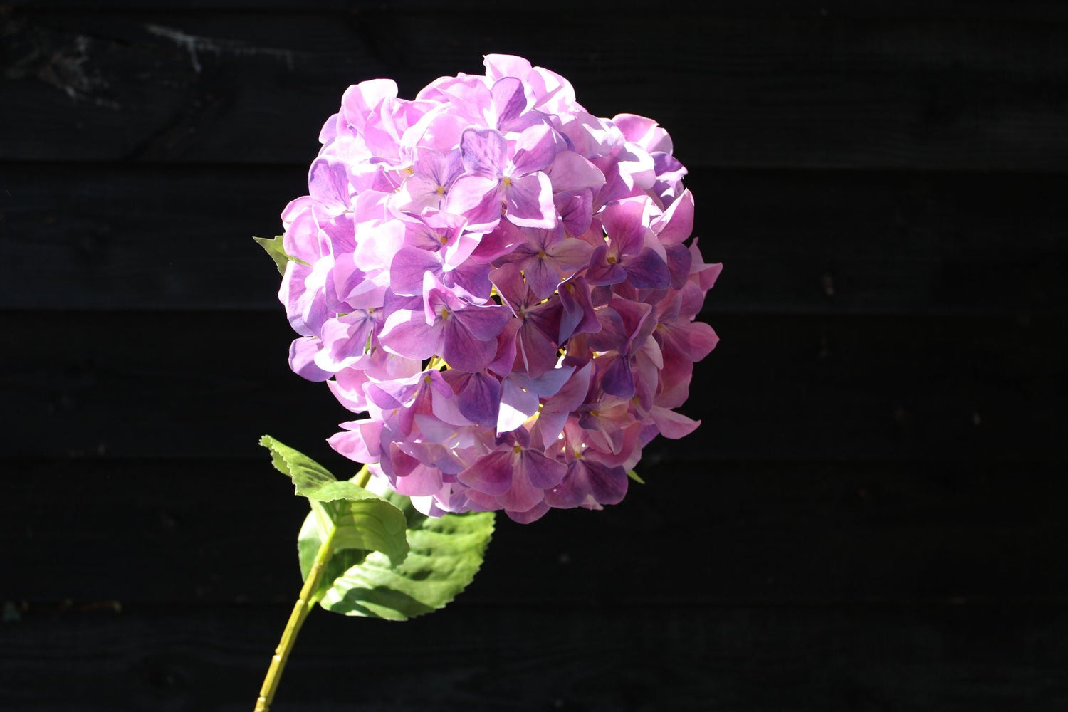 Losse bloemen en takken