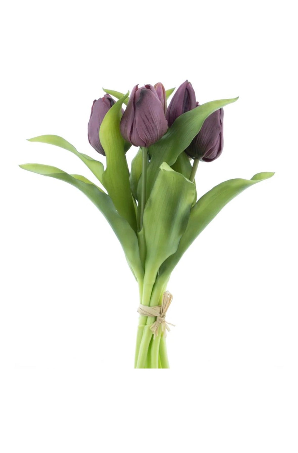 Real touch Hollandse Vermeer tulpen aubergine kleur, bos 7 stuks