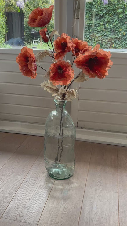 Video van zijden klaproos oranje in een glazen vaas